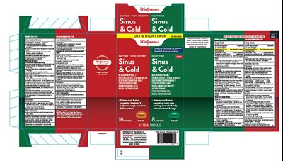 Day And Night Sinus Minis (Day And Night Sinus Minis)